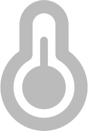 ThermoIcon Logo